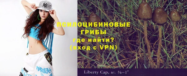 мяу мяу мука Алексеевка