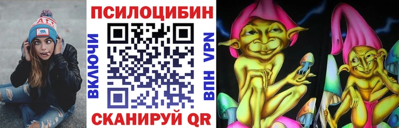 Галлюциногенные грибы Psilocybe  купить наркотики сайты  Сургут 